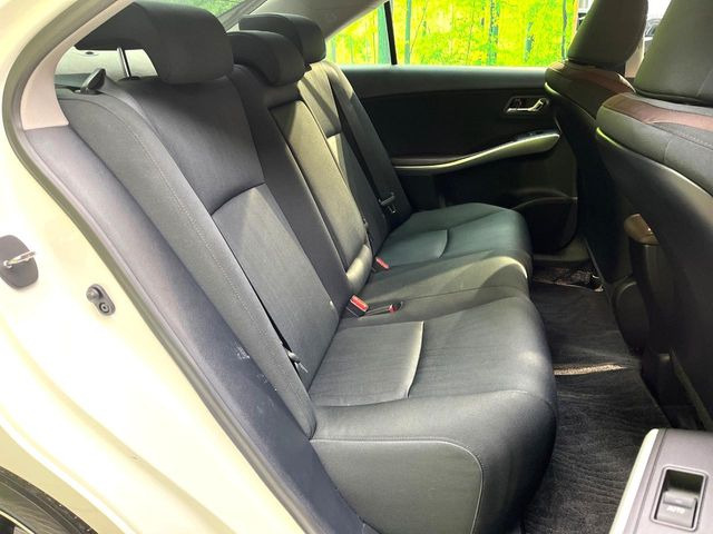 �㕔���Ȃ��C�ɂȂ�悤�ȃL�Y�E�����ւ��蓙�A�傫�ȃ_���[�W�͂Ȃ��A�ǍD�ȏ�Ԃł��B