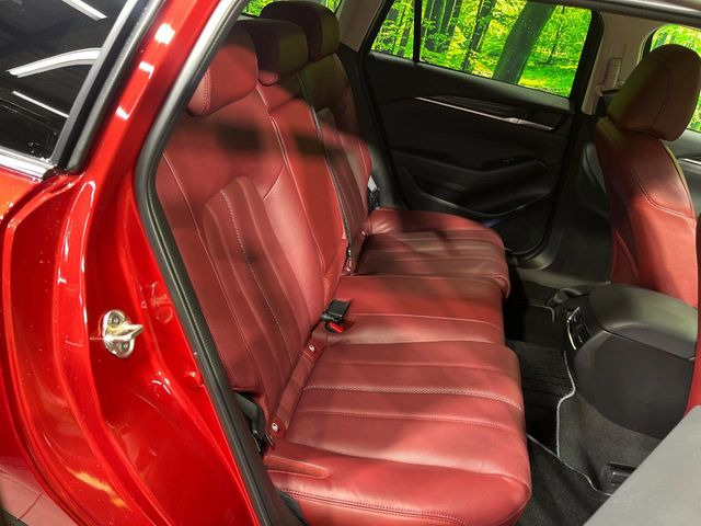 �㕔���Ȃ��C�ɂȂ�悤�ȃL�Y�E�����ւ��蓙�A�傫�ȃ_���[�W�͂Ȃ��A�ǍD�ȏ�Ԃł��B