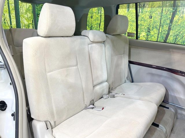 �㕔���Ȃ��C�ɂȂ�悤�ȃL�Y�E�����ւ��蓙�A�傫�ȃ_���[�W�͂Ȃ��A�ǍD�ȏ�Ԃł��B