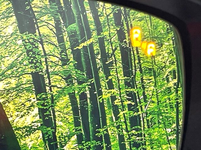 �y�u���C���h�X�|�b�g���j�^�����O�z���s���A�h�A�~���[�̎��p�ɂȂ�₷���ӏ��Ɍ㑱�Ԃ��ڋ߂���ƃT�C�h�~���[�t�߂Ɍx����\���A�h���C�o�[�ɒ��ӊ��N�����Ă���܂��B