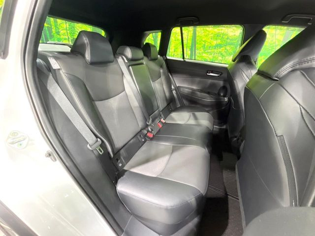 �㕔���Ȃ��C�ɂȂ�悤�ȃL�Y�E�����ւ��蓙�A�傫�ȃ_���[�W�͂Ȃ��A�ǍD�ȏ�Ԃł��B