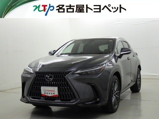 NX250 バージョンL