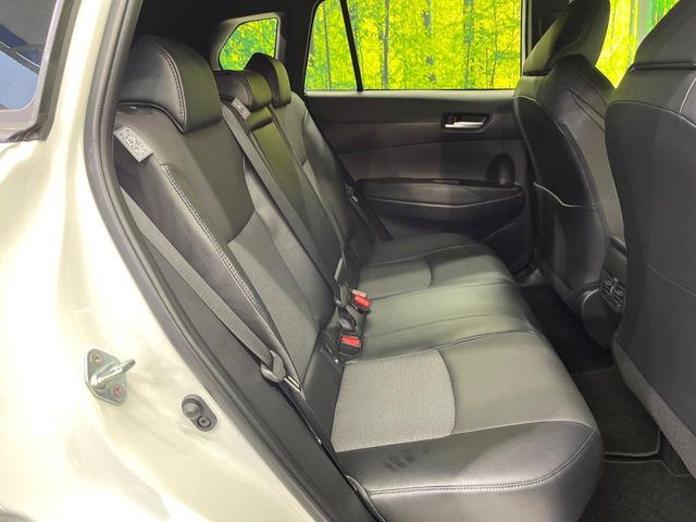 �㕔���Ȃ��C�ɂȂ�悤�ȃL�Y�E�����ւ��蓙�A�傫�ȃ_���[�W�͂Ȃ��A�ǍD�ȏ�Ԃł��B