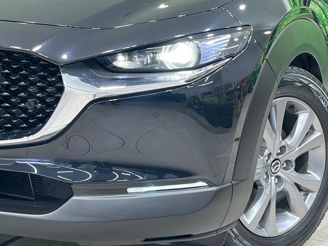 �w�b�h���C�g��e�[�������v&�A���~�z�C�[�����̊e��R�[�e�B���O���I�X�X�����Ă���܂��B�����Y�����̉��΂݂≘���}���A���ꂢ�ȏ�Ԃ������e�i���X���X�ŕۂĂ܂���