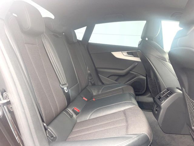 ���㕔���Ȃ��C�ɂȂ�悤�ȃL�Y�E�����ւ��蓙�A�傫�ȃ_���[�W�͂Ȃ��A�ǍD�ȏ�Ԃł��B