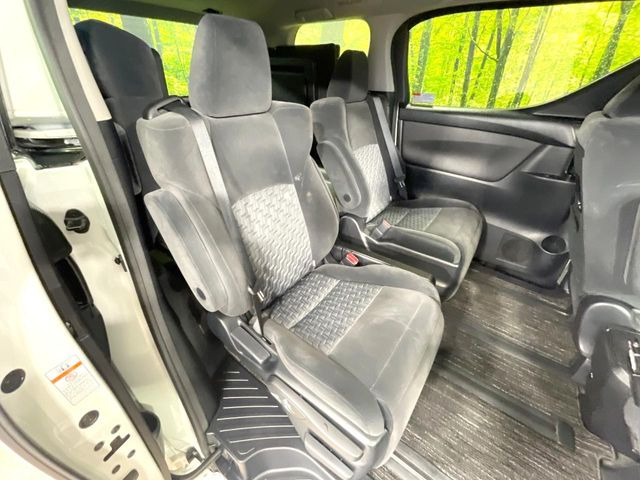 �㕔���Ȃ��C�ɂȂ�悤�ȃL�Y�E�����ւ��蓙�A�傫�ȃ_���[�W�͂Ȃ��A�ǍD�ȏ�Ԃł��B