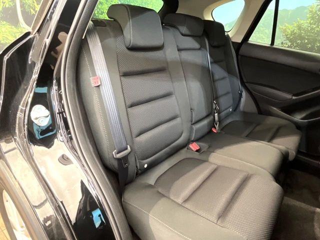 �㕔���Ȃ��C�ɂȂ�悤�ȃL�Y�E�����ւ��蓙�A�傫�ȃ_���[�W�͂Ȃ��A�ǍD�ȏ�Ԃł��B