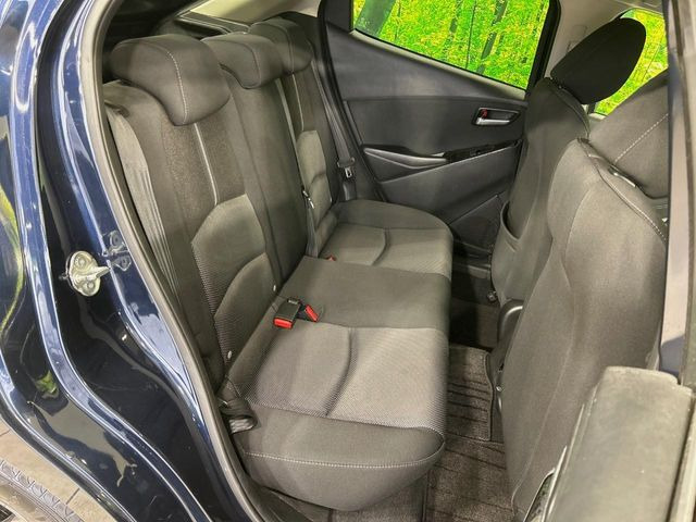 �㕔���Ȃ��C�ɂȂ�悤�ȃL�Y�E�����ւ��蓙�A�傫�ȃ_���[�W�͂Ȃ��A�ǍD�ȏ�Ԃł��B