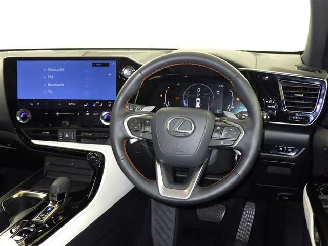 NX250 バージョンL