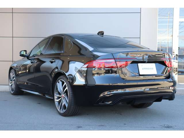 XFRダイナミック SE 2.0 P250