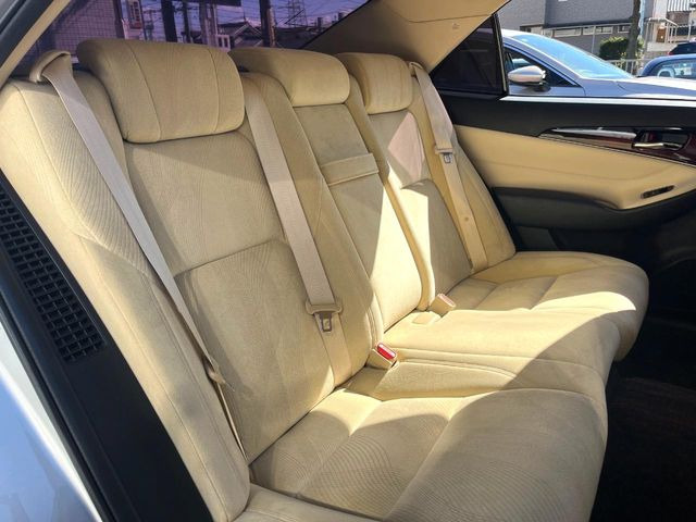 �㕔���Ȃ��C�ɂȂ�悤�ȃL�Y�E�����ւ��蓙�A�傫�ȃ_���[�W�͂Ȃ��A�ǍD�ȏ�Ԃł��B