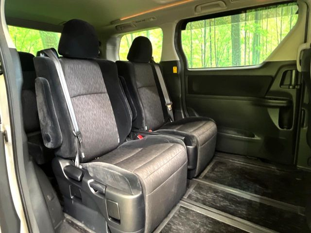 �㕔���Ȃ��C�ɂȂ�悤�ȃL�Y�E�����ւ��蓙�A�傫�ȃ_���[�W�͂Ȃ��A�ǍD�ȏ�Ԃł��B