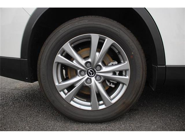 ���Ǝҗl�ւ̔̔��͂��f�肳���Ă��������܂��B �Ԍ������ԗ��̏ꍇ�́A�Ԍ����擾�������x�������z�ŕ\�����Ă���܂��B