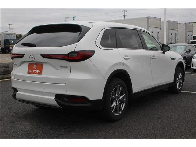 ���Ǝҗl�ւ̔̔��͂��f�肳���Ă��������܂��B �Ԍ������ԗ��̏ꍇ�́A�Ԍ����擾�������x�������z�ŕ\�����Ă���܂��B