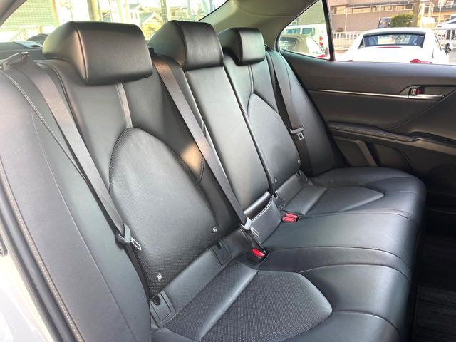 �㕔���Ȃ��C�ɂȂ�悤�ȃL�Y�E�����ւ��蓙�A�傫�ȃ_���[�W�͂Ȃ��A�ǍD�ȏ�Ԃł��B