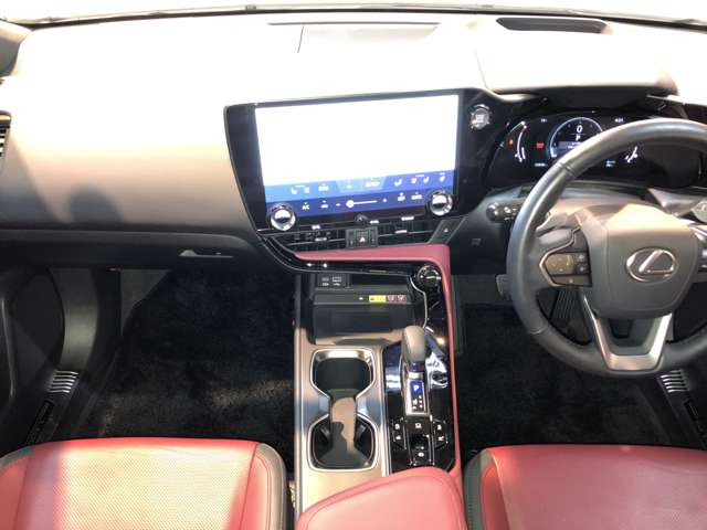 NX250 バージョンL 4WD