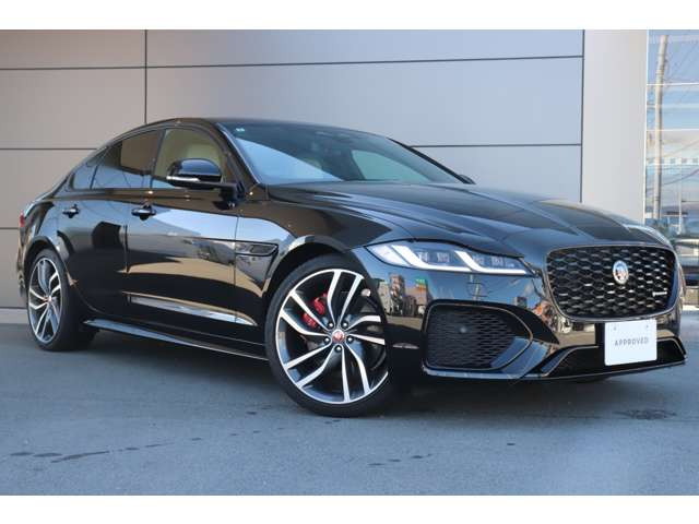 XFRダイナミック SE 2.0 P250