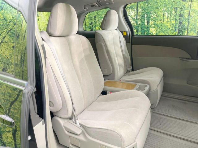 �㕔���Ȃ��C�ɂȂ�悤�ȃL�Y�E�����ւ��蓙�A�傫�ȃ_���[�W�͂Ȃ��A�ǍD�ȏ�Ԃł��B