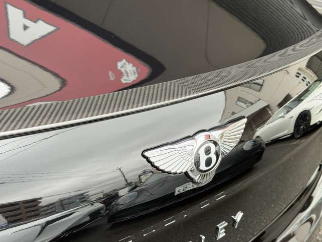 �y�I�v�V�����z�J�[�{�����A�X�|�C���[�B