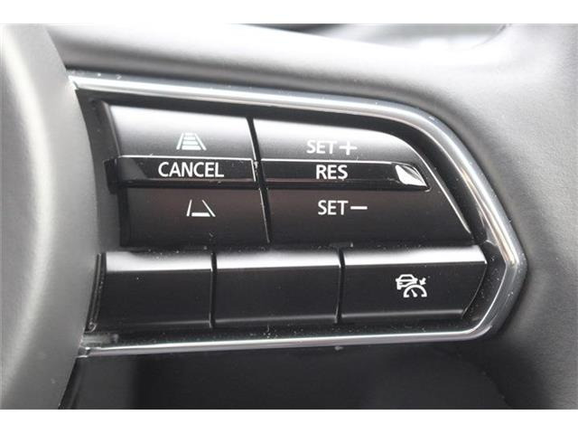 ���Ǝҗl�ւ̔̔��͂��f�肳���Ă��������܂��B �Ԍ������ԗ��̏ꍇ�́A�Ԍ����擾�������x�������z�ŕ\�����Ă���܂��B