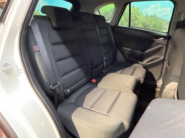 �㕔���Ȃ��C�ɂȂ�悤�ȃL�Y�E�����ւ��蓙�A�傫�ȃ_���[�W�͂Ȃ��A�ǍD�ȏ�Ԃł��B