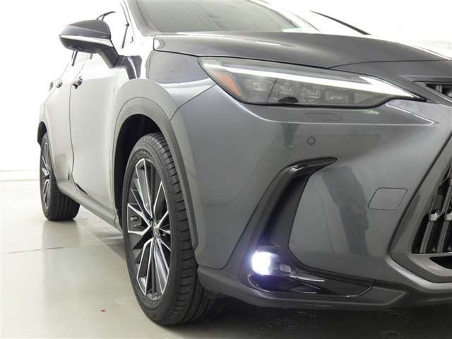 NX250 バージョンL