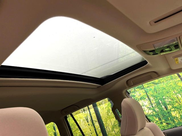 �y�T�����[�t�z�J���������Ղ�̊󏭑����A�T�����[�t����������Ă��܂�!�ԓ��ɖ�����������ꂽ��i�F���y���ވȊO�ɂ��A�ԓ��̋�C���ȒP�Ɋ��C�ł��ĉ��K�ł�!