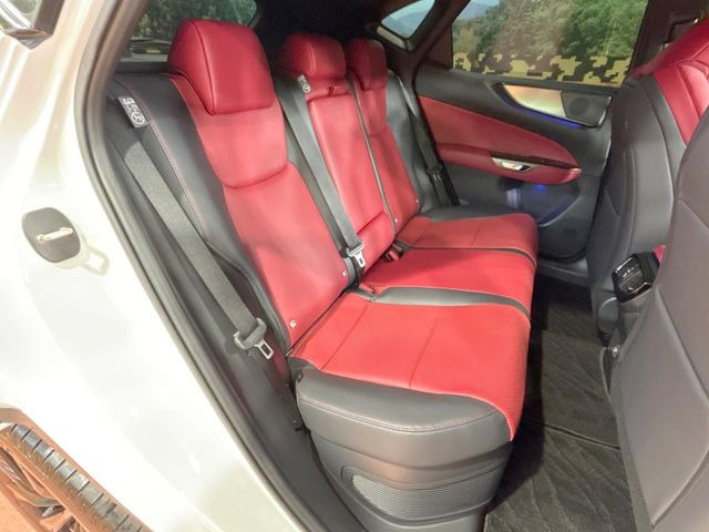 �㕔���Ȃ��C�ɂȂ�悤�ȃL�Y�E�����ւ��蓙�A�傫�ȃ_���[�W�͂Ȃ��A�ǍD�ȏ�Ԃł��B