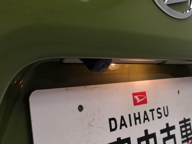 タントファンクロス