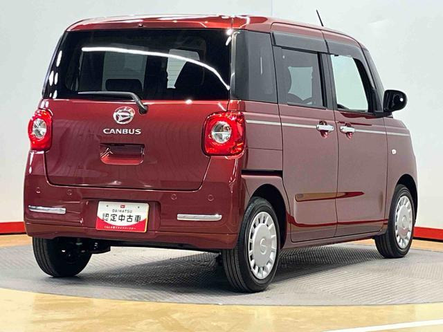 ムーヴキャンバスセオリー X