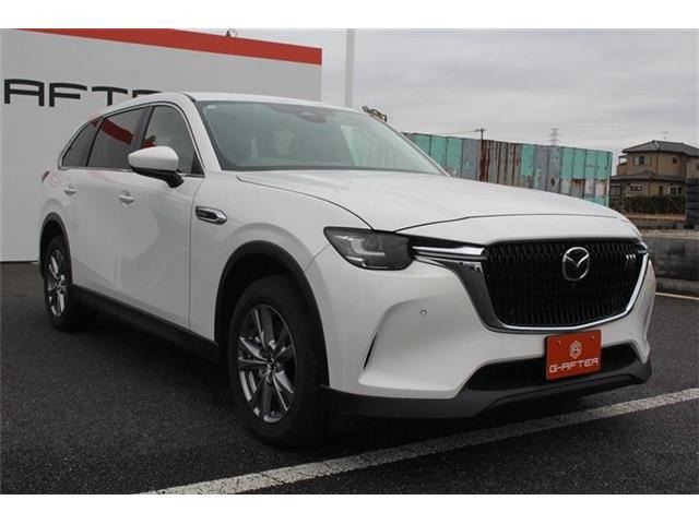 ���Ǝҗl�ւ̔̔��͂��f�肳���Ă��������܂��B �Ԍ������ԗ��̏ꍇ�́A�Ԍ����擾�������x�������z�ŕ\�����Ă���܂��B