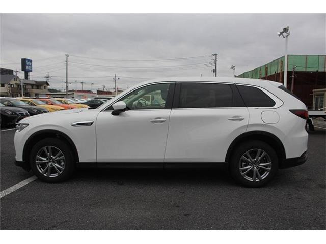 ���Ǝҗl�ւ̔̔��͂��f�肳���Ă��������܂��B �Ԍ������ԗ��̏ꍇ�́A�Ԍ����擾�������x�������z�ŕ\�����Ă���܂��B