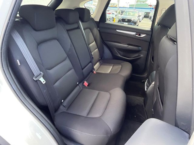 �㕔���Ȃ��C�ɂȂ�悤�ȃL�Y�E�����ւ��蓙�A�傫�ȃ_���[�W�͂Ȃ��A�ǍD�ȏ�Ԃł��B