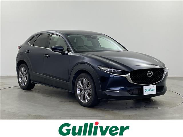 CX-301.8 XD Lパッケージ