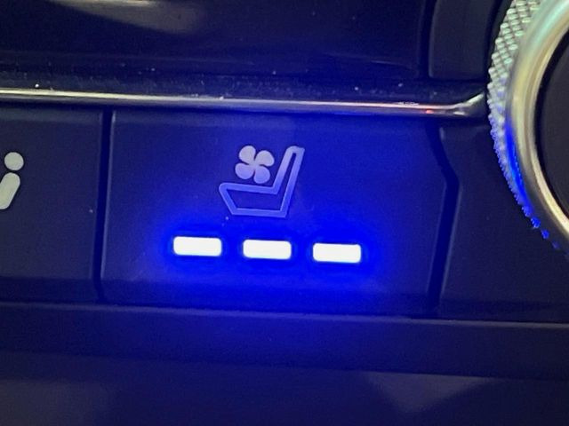 �y�V�[�g�x���`���[�V�����z�ď�͗��������ł��K��w���̔M�⃀����h���A�~�̓G�A�R�������������܂��ă|�J�|�J��!�G�߂��킸���K�ɉ߂����܂��B