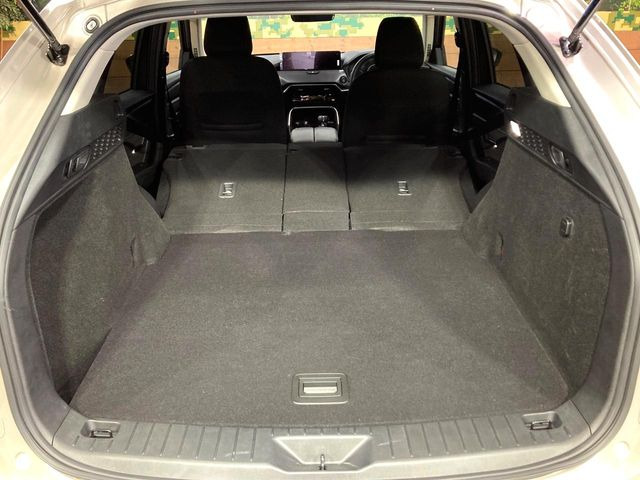 ���i�̂���������ʋ΁A���}���ɏ\���ȉ׎��X�y�[�X���m�ۂ��Ă���܂��B�Z�J���h�V�[�g��|���ƁA�傫�ȉו��̐ύڂ��\�ł���