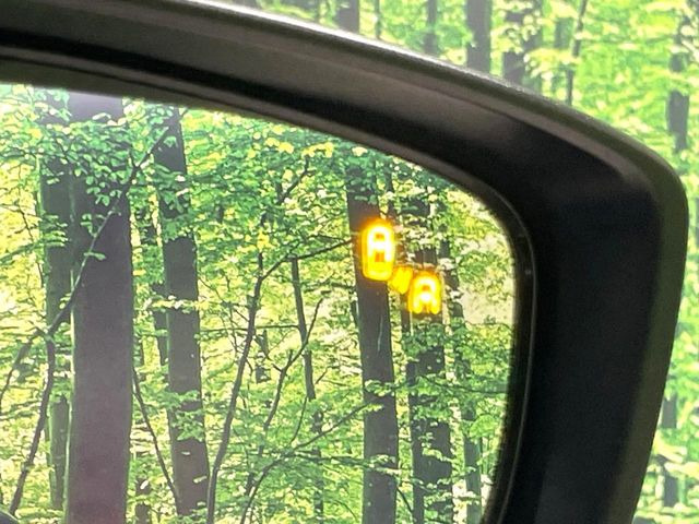 �y�u���C���h�X�|�b�g���j�^�����O�z���s���A�h�A�~���[�̎��p�ɂȂ�₷���ӏ��Ɍ㑱�Ԃ��ڋ߂���ƃT�C�h�~���[�t�߂Ɍx����\���A�h���C�o�[�ɒ��ӊ��N�����Ă���܂��B