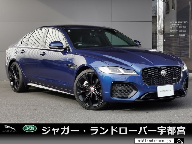 XFRダイナミック HSE 2.0 P250