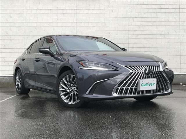 ES300h グレイスフル エスコート