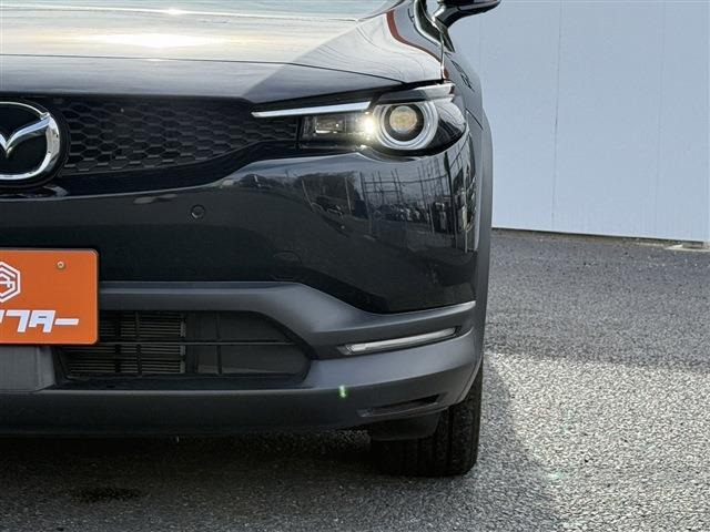 ���Ǝҗl�ւ̔̔��͂��f�肳���Ă��������܂��B �Ԍ������ԗ��̏ꍇ�́A�Ԍ����擾�������x�������z�ŕ\�����Ă���܂��B