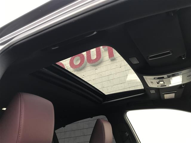 ES300h グレイスフル エスコート