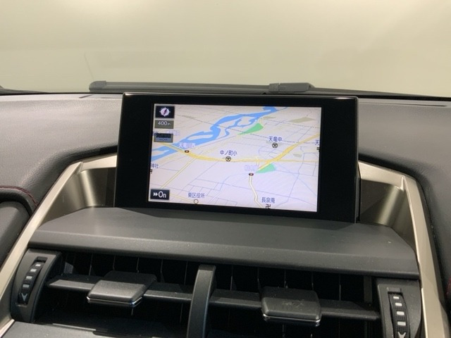 NX300h Fスポーツ