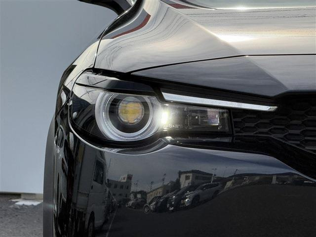 ���Ǝҗl�ւ̔̔��͂��f�肳���Ă��������܂��B �Ԍ������ԗ��̏ꍇ�́A�Ԍ����擾�������x�������z�ŕ\�����Ă���܂��B