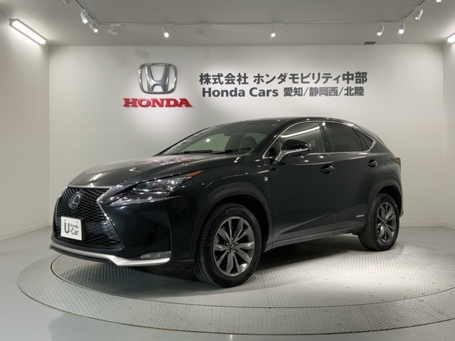NX300h Fスポーツ