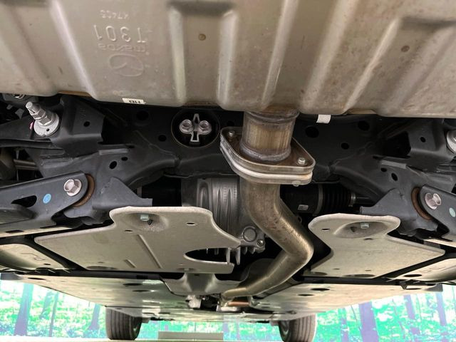 �����ɎK�E���H�����󂯂��܂���!����̎K�΍�ɂ͉���艖�Q�΍�R�[�g���I�X�X���ł�!