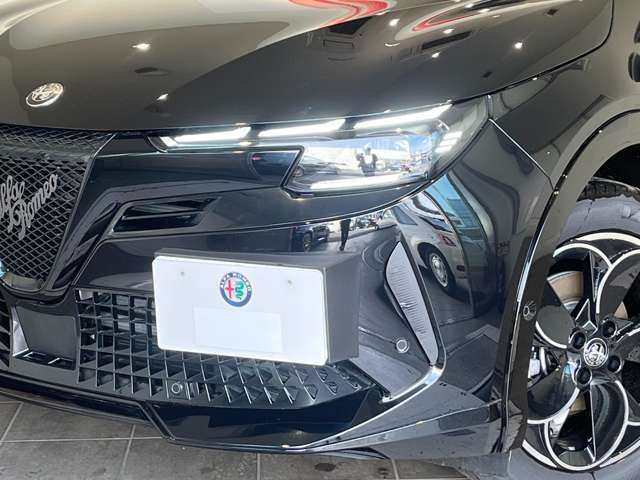 ジュニアイブリダ プレミアム