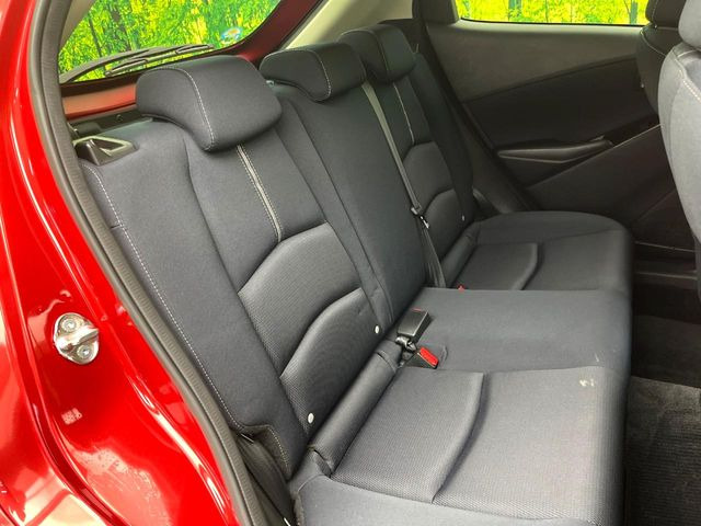 �㕔���Ȃ��C�ɂȂ�悤�ȃL�Y�E�����ւ��蓙�A�傫�ȃ_���[�W�͂Ȃ��A�ǍD�ȏ�Ԃł��B