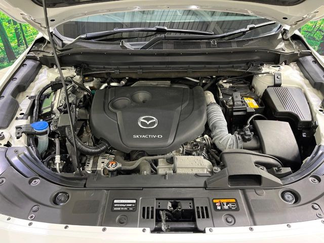 ���S�̍Œ�10�N�E���s�������ۏ�(�L��)�����p�ӁB�ۏؓ��e���[���͂������A�����_��&�I�C��������A�N�����x�̑S���E24���ԃ��[�h�T�[�r�X���t�т���Ă���܂��̂ł����S�������B