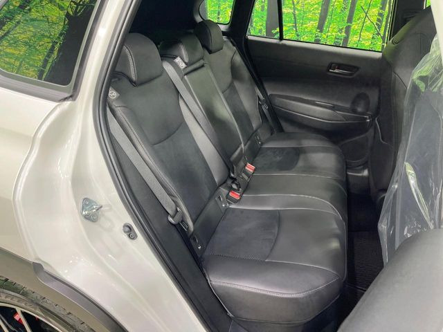 �㕔���Ȃ��C�ɂȂ�悤�ȃL�Y�E�����ւ��蓙�A�傫�ȃ_���[�W�͂Ȃ��A�ǍD�ȏ�Ԃł��B