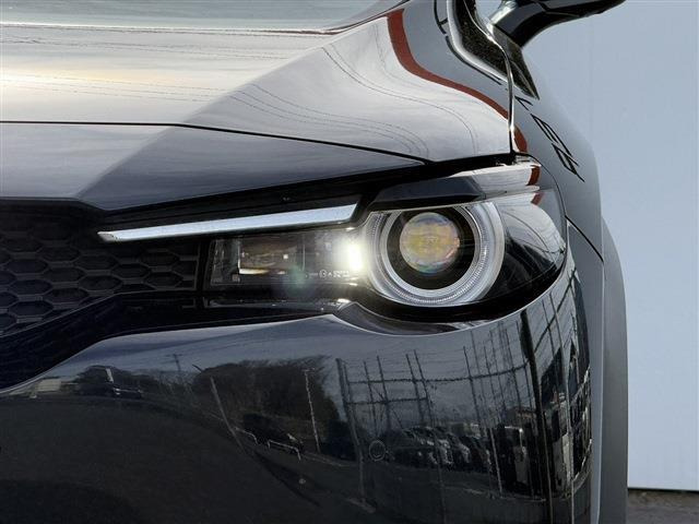 ���Ǝҗl�ւ̔̔��͂��f�肳���Ă��������܂��B �Ԍ������ԗ��̏ꍇ�́A�Ԍ����擾�������x�������z�ŕ\�����Ă���܂��B